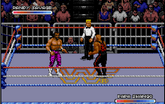 WWF Royal Rumble
